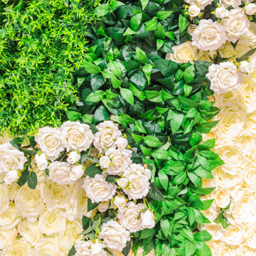 都市中的绿意诗篇 高清花卉绿植墙的艺术与生态价值