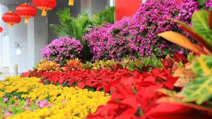 门头沟区迎双节 国庆繁花似锦，中秋祥和万家！