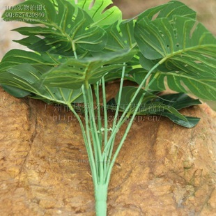 仿真植物叶子 赋予空间永恒生命力——广州恒春园展览直击